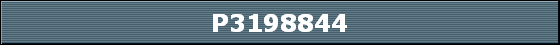 P3198844