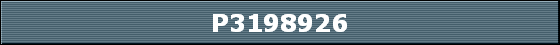 P3198926