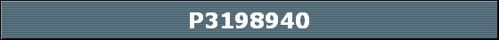 P3198940