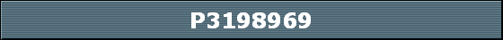 P3198969