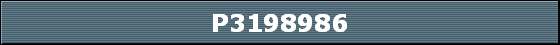 P3198986