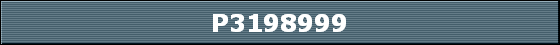 P3198999