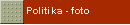 Politika - foto